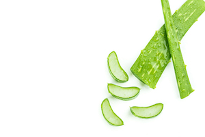 6 Health Benefits of Aloe Vera