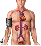 running lowers blood pressure