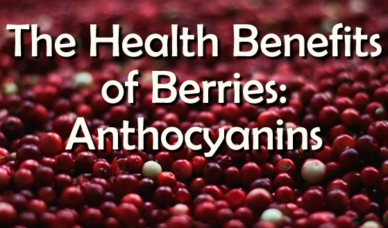 anthocyanins-health