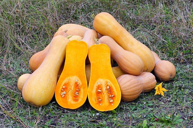 butternut-squash-for-arthritis