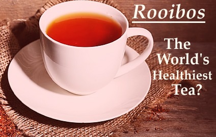 rooibos-tea