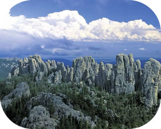Black Hills National Forest (South Dakota)