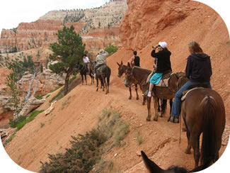 Bryce Canyon (Utah)