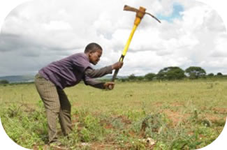Back pain is a common issue for farmers
