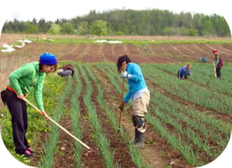 Injuries that commonly affect farmers