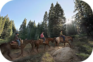 Kings Canyon (California)