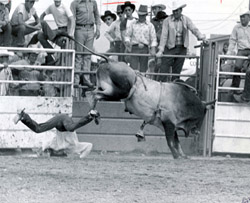 oscar-bull-bullriding
