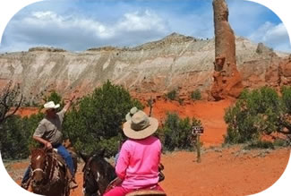 Petrified Forest (Arizona) 