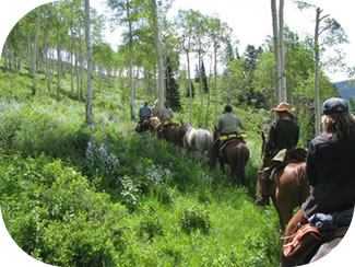 White River National Forest (Colorado)