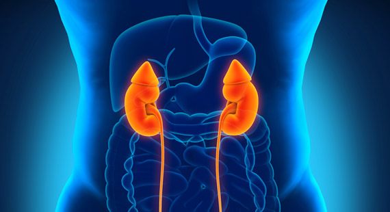 kidney-failure-dehydration-pain-killers