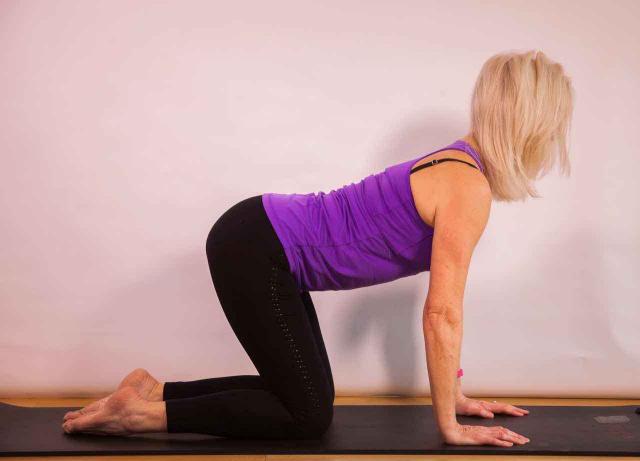 cat stretch can hlep improve posture