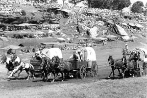 wagon-races-rodeo