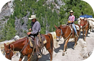 Yosemite National Park (California)