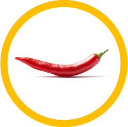 Relieving Your Pain With Capsicum