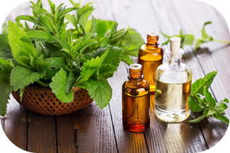 Peppermint Oil can Ease Pain